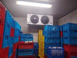Jurong Food Hub (D22), Factory #506773551